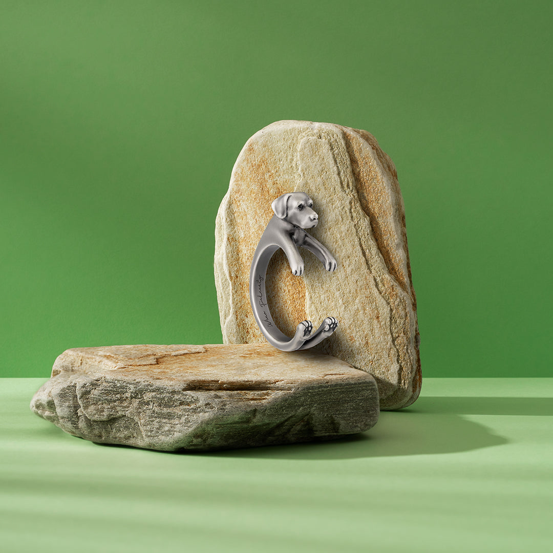 Labrador Retriever Ring